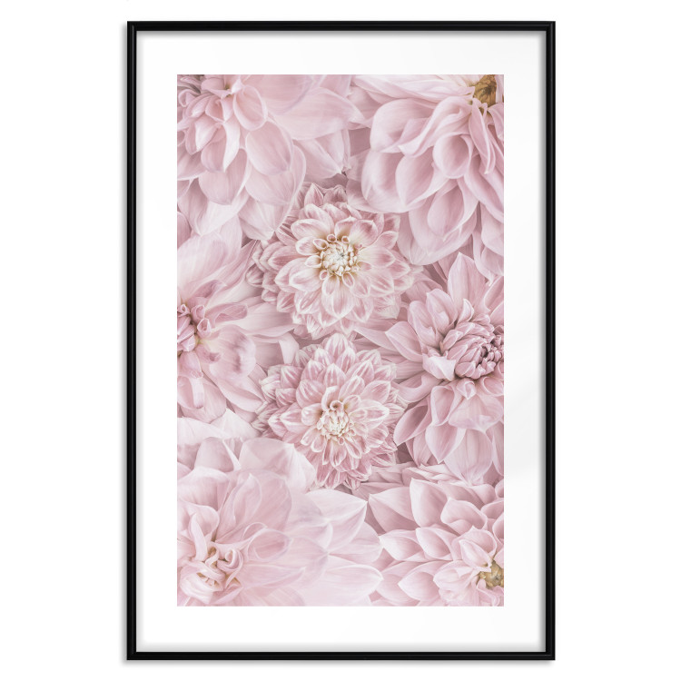 Poster Morning Flowers - composition of pink flowers in a romantic motif 135586 additionalImage 4