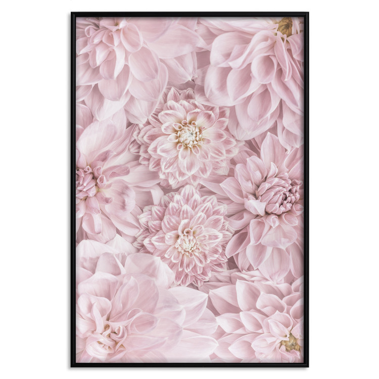 Poster Morning Flowers - composition of pink flowers in a romantic motif 135586 additionalImage 7