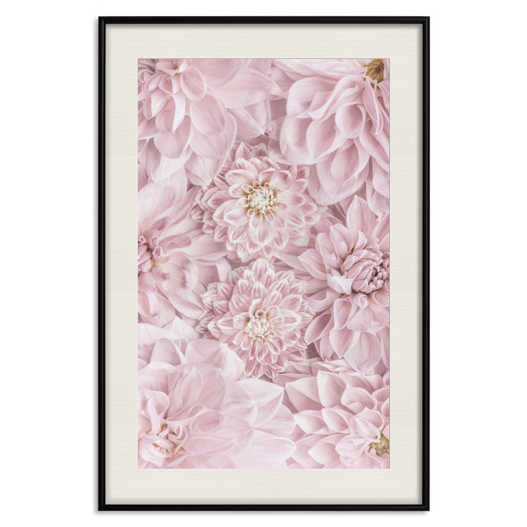 Poster Morning Flowers - composition of pink flowers in a romantic motif 135586 additionalImage 2