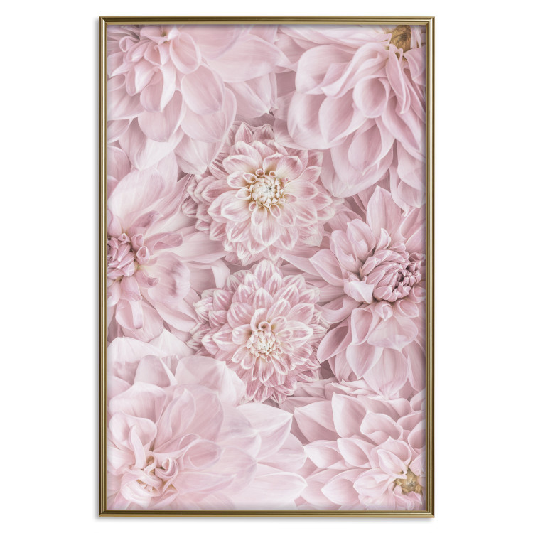 Poster Morning Flowers - composition of pink flowers in a romantic motif 135586 additionalImage 4