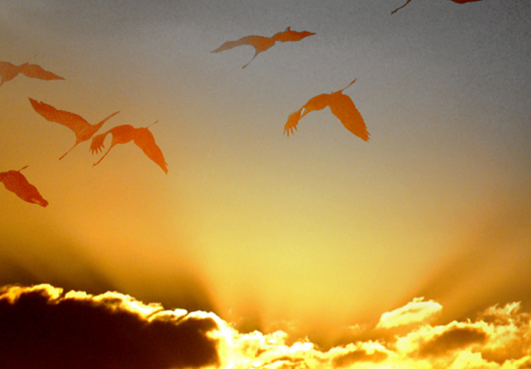 Canvas Sunset Amidst Clouds (1-piece) - birds against a red sky background 145086 additionalImage 4