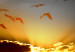 Canvas Sunset Amidst Clouds (1-piece) - birds against a red sky background 145086 additionalThumb 4