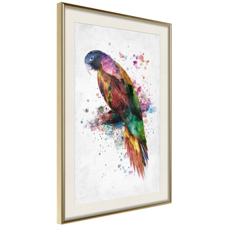 Wall Poster Rainbow Parrot - Colorful Bird on a Branch Painted With Watercolors 145186 additionalImage 9