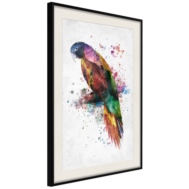 Wall Poster Rainbow Parrot - Colorful Bird on a Branch Painted With Watercolors 145186 additionalImage 13