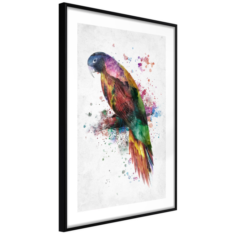 Wall Poster Rainbow Parrot - Colorful Bird on a Branch Painted With Watercolors 145186 additionalImage 7