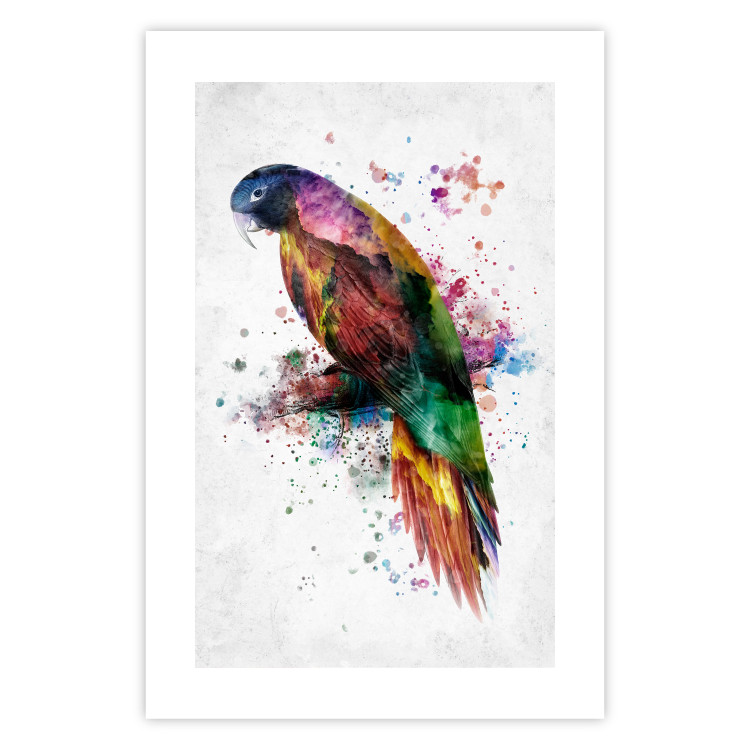 Wall Poster Rainbow Parrot - Colorful Bird on a Branch Painted With Watercolors 145186 additionalImage 17