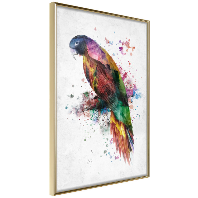 Wall Poster Rainbow Parrot - Colorful Bird on a Branch Painted With Watercolors 145186 additionalImage 6