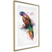 Wall Poster Rainbow Parrot - Colorful Bird on a Branch Painted With Watercolors 145186 additionalThumb 8