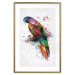 Wall Poster Rainbow Parrot - Colorful Bird on a Branch Painted With Watercolors 145186 additionalThumb 24