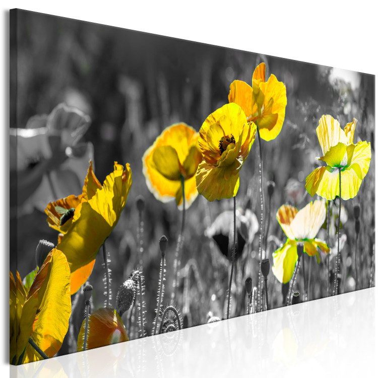 Canvas Yellow Poppies (1 Part) Narrow 149986 additionalImage 2