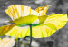 Canvas Yellow Poppies (1 Part) Narrow 149986 additionalThumb 4