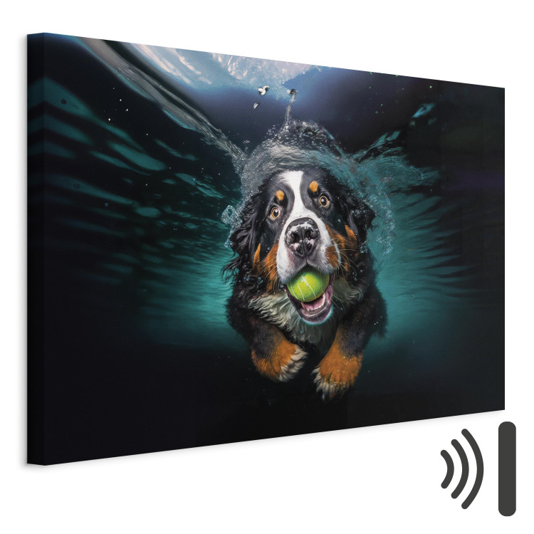 Canvas Art Print AI Bernese Mountain Dog - Floating Animal With a Ball in Its Mouth - Horizontal 150086 additionalImage 8