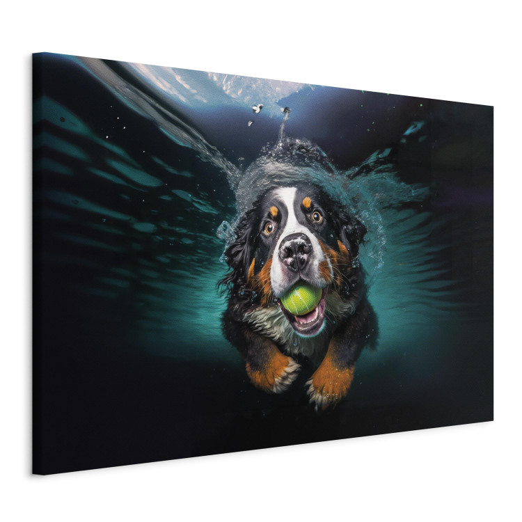 Canvas Art Print AI Bernese Mountain Dog - Floating Animal With a Ball in Its Mouth - Horizontal 150086 additionalImage 2