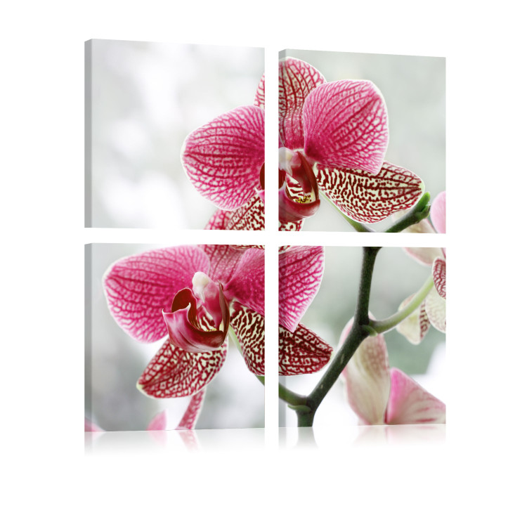 Canvas Fancy orchid 58686 additionalImage 2