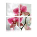 Canvas Fancy orchid 58686 additionalThumb 2