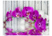Wall Mural Plant Composition with Wood - Orchid Flowers Resting on Water Surface 60186 additionalThumb 1