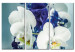 Canvas Art Print Chimerical orchids 90386