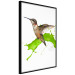 Wall Poster Hummingbird in Flight - Brown bird and spilled paint in green color 114396 additionalThumb 10
