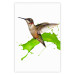 Wall Poster Hummingbird in Flight - Brown bird and spilled paint in green color 114396