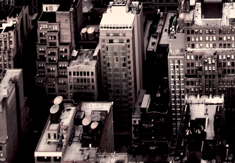 Poster Sepia Manhattan - New York architecture seen from a bird's eye view 116696 additionalImage 8