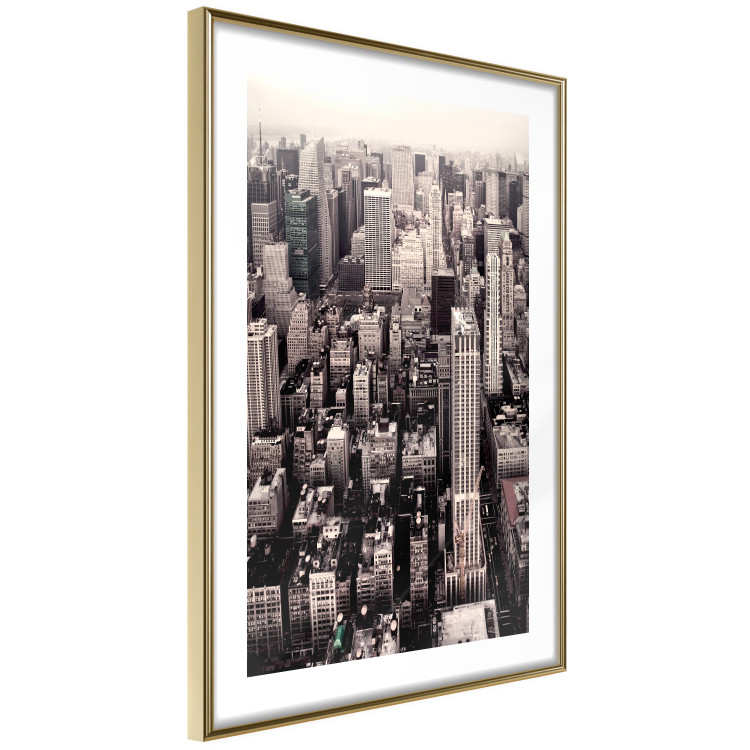 Poster Sepia Manhattan - New York architecture seen from a bird's eye view 116696 additionalImage 6