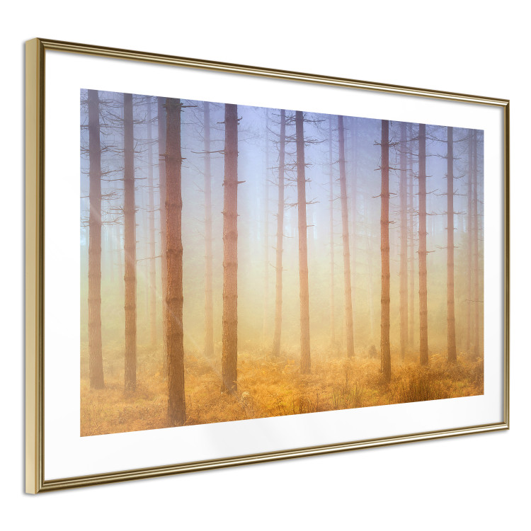 Poster Misty Forest - landscape of bare trees in brown-orange hues 117296 additionalImage 8