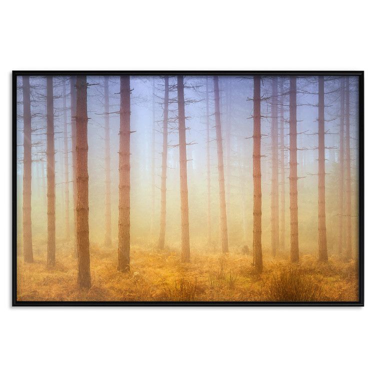 Poster Misty Forest - landscape of bare trees in brown-orange hues 117296 additionalImage 15