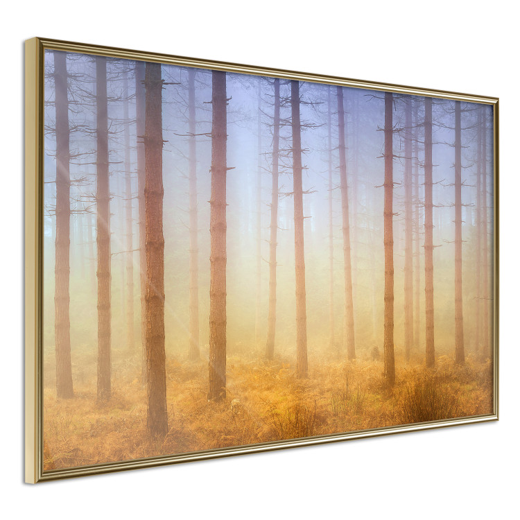 Poster Misty Forest - landscape of bare trees in brown-orange hues 117296 additionalImage 12