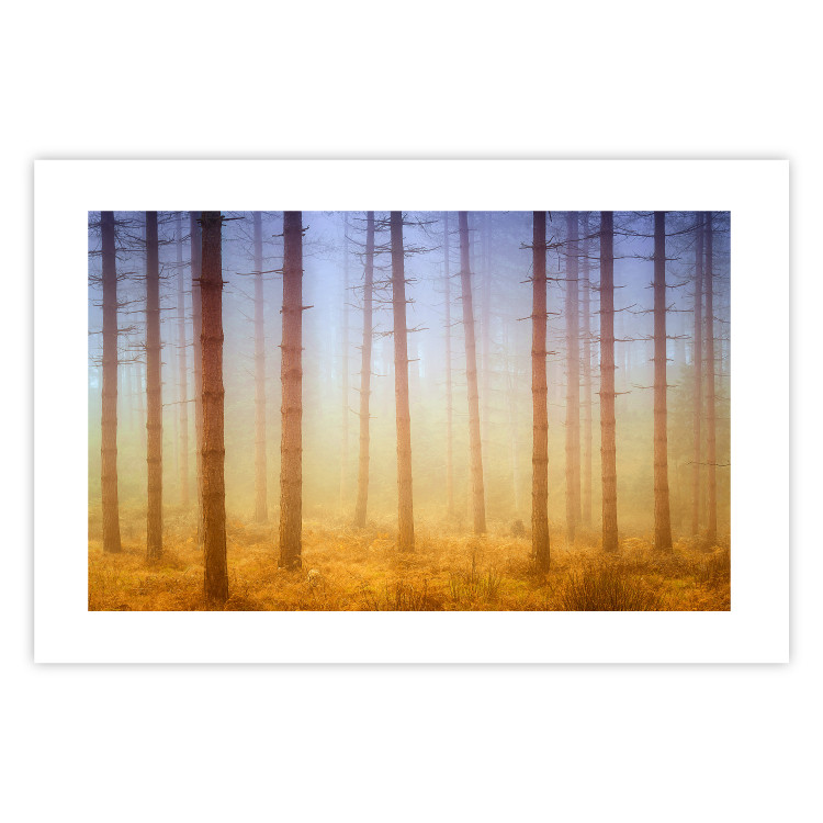 Poster Misty Forest - landscape of bare trees in brown-orange hues 117296 additionalImage 16