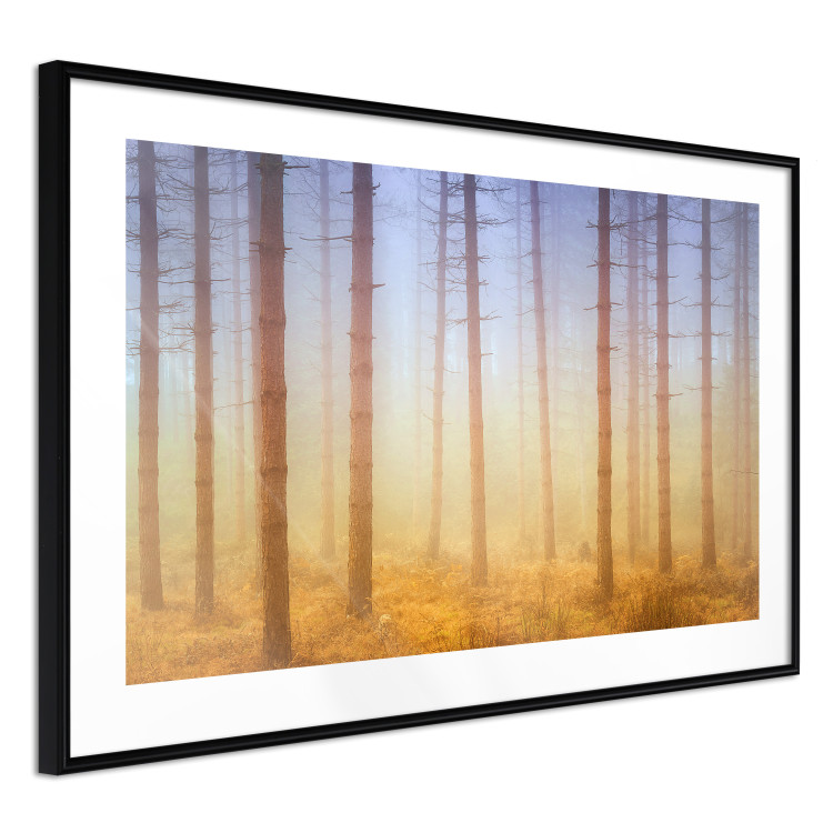 Poster Misty Forest - landscape of bare trees in brown-orange hues 117296 additionalImage 13