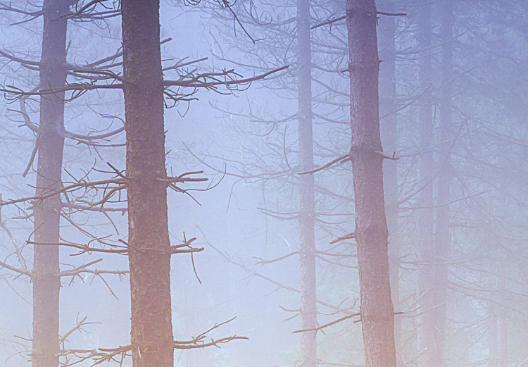 Poster Misty Forest - landscape of bare trees in brown-orange hues 117296 additionalImage 10
