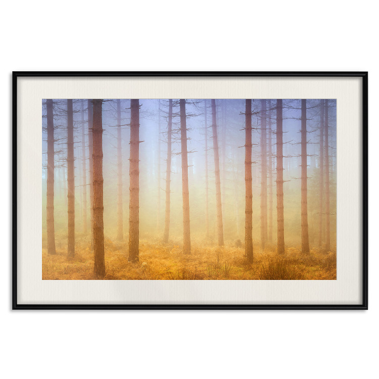 Poster Misty Forest - landscape of bare trees in brown-orange hues 117296 additionalImage 27