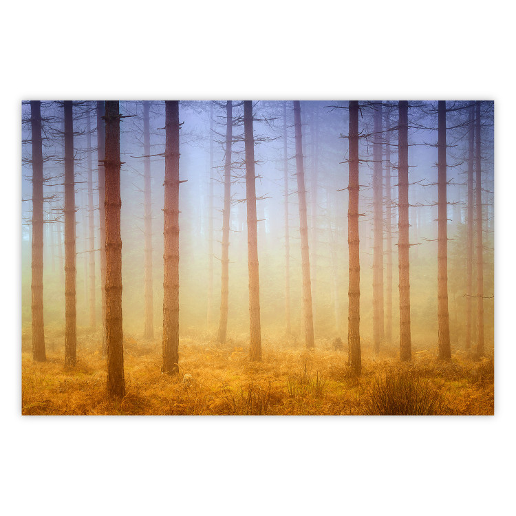 Poster Misty Forest - landscape of bare trees in brown-orange hues 117296