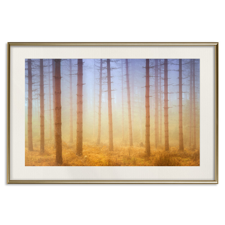 Poster Misty Forest - landscape of bare trees in brown-orange hues 117296 additionalImage 24
