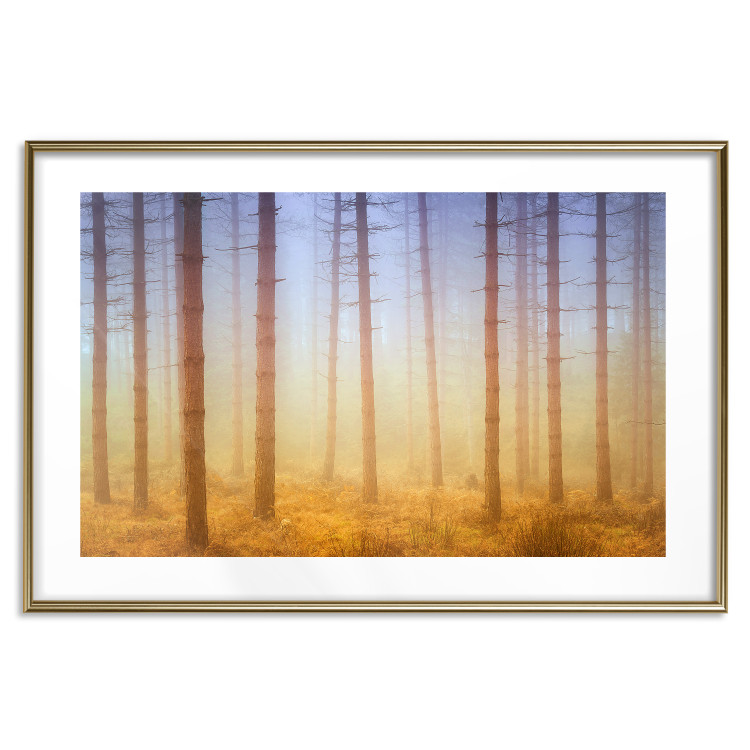 Poster Misty Forest - landscape of bare trees in brown-orange hues 117296 additionalImage 20