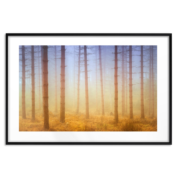 Poster Misty Forest - landscape of bare trees in brown-orange hues 117296 additionalImage 25
