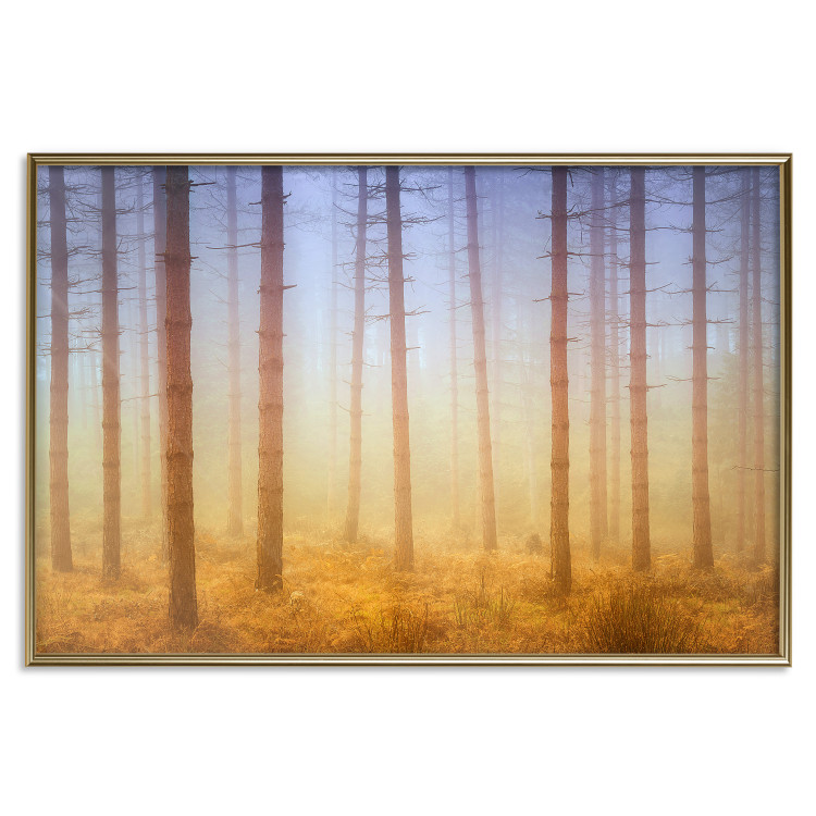 Poster Misty Forest - landscape of bare trees in brown-orange hues 117296 additionalImage 19