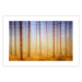 Poster Misty Forest - landscape of bare trees in brown-orange hues 117296 additionalThumb 14