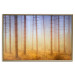 Poster Misty Forest - landscape of bare trees in brown-orange hues 117296 additionalThumb 19