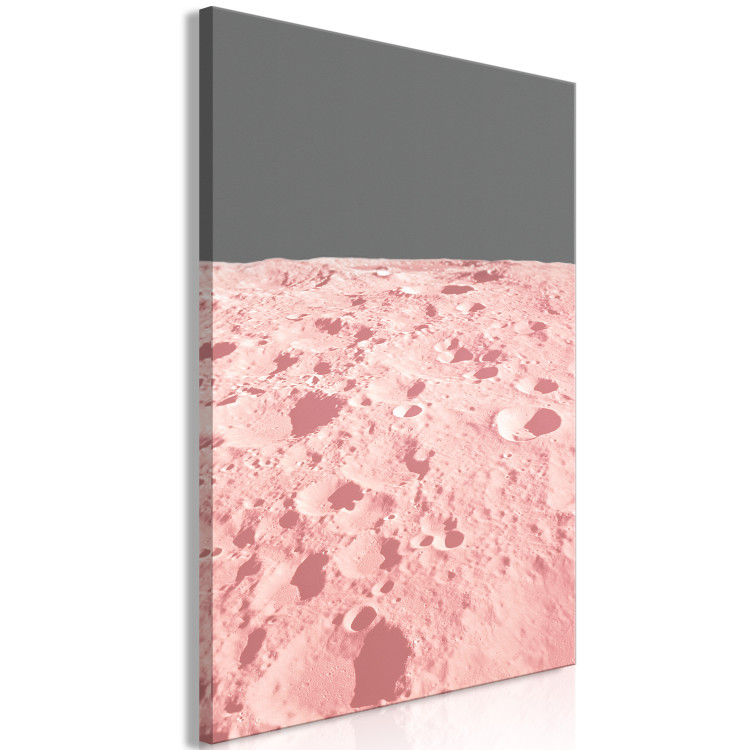 Canvas The surface of the moon - a photo from space in a pink colour 123196 additionalImage 2