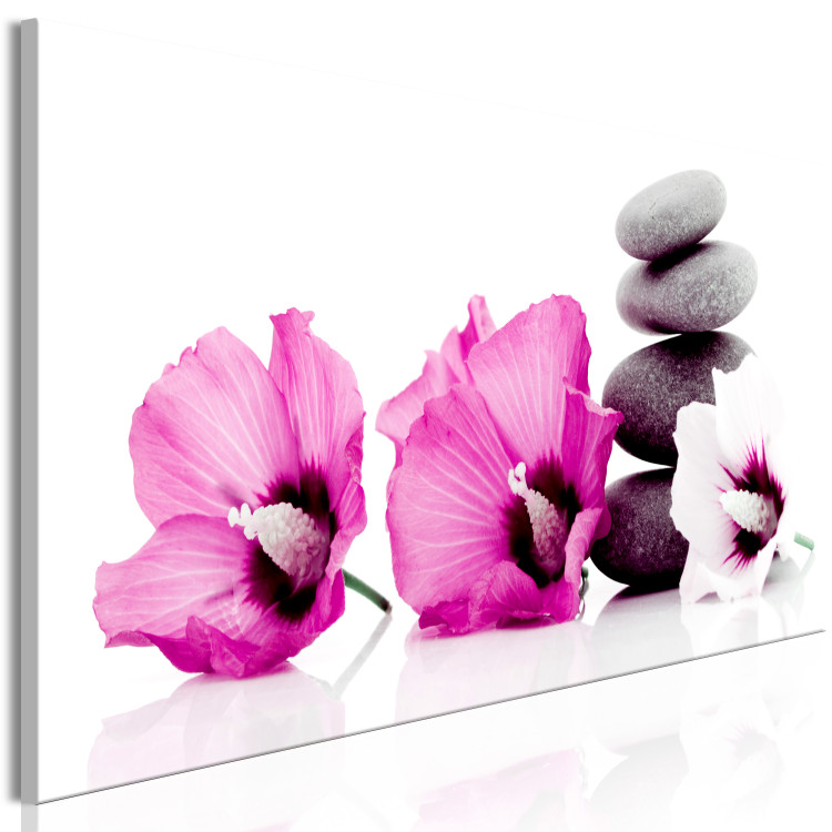 Canvas Print Pink flowers and stones - feng shui composition with mallow and stones 123396 additionalImage 2