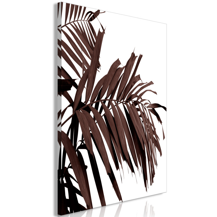 Canvas Dry palm leaves - brown leaves of a tropical tree on a white background 123496 additionalImage 2