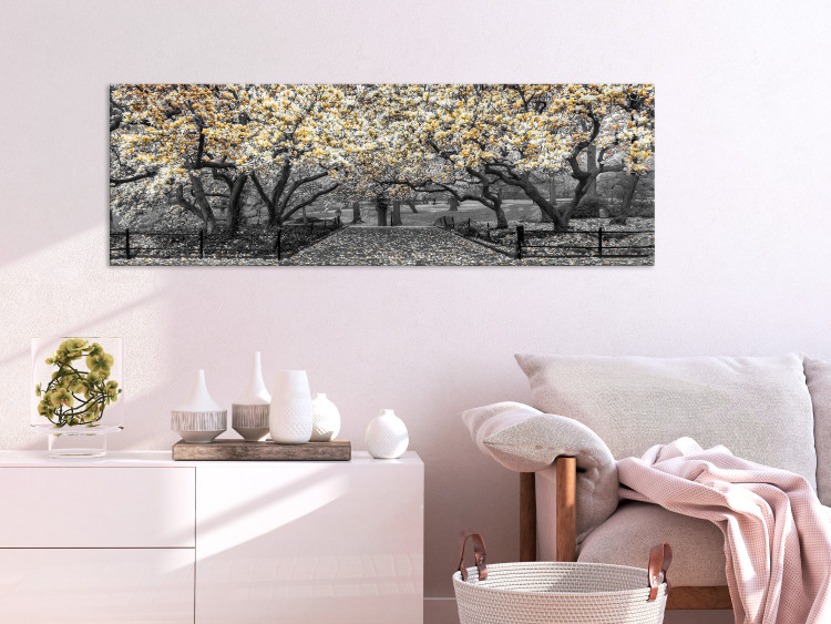 Canvas Print Blooming Magnolias - horizontal composition of yellow shaded magnolia 128796 additionalImage 3