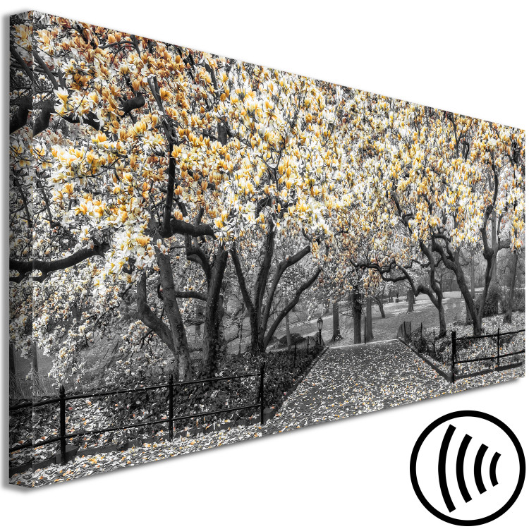 Canvas Print Blooming Magnolias - horizontal composition of yellow shaded magnolia 128796 additionalImage 6