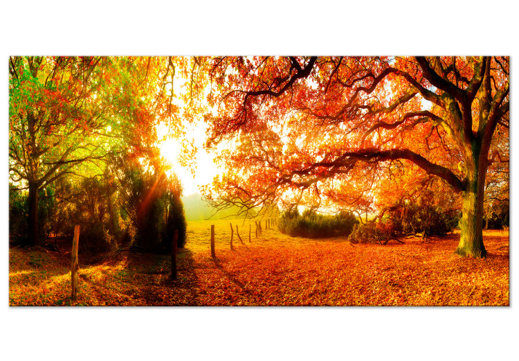 Large canvas print Enchanting Autumn II [Large Format] 128896