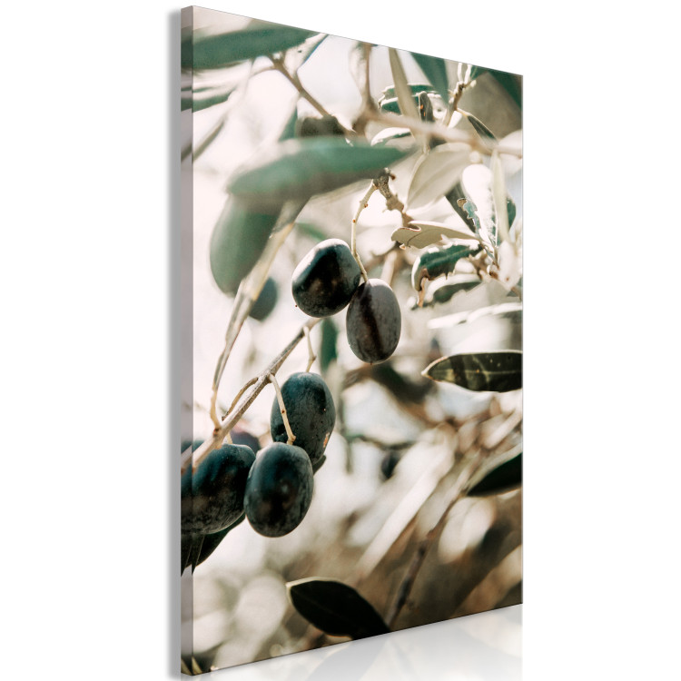 Canvas Olive Grove (1-piece) Vertical - nature of trees with black fruits 129696 additionalImage 2