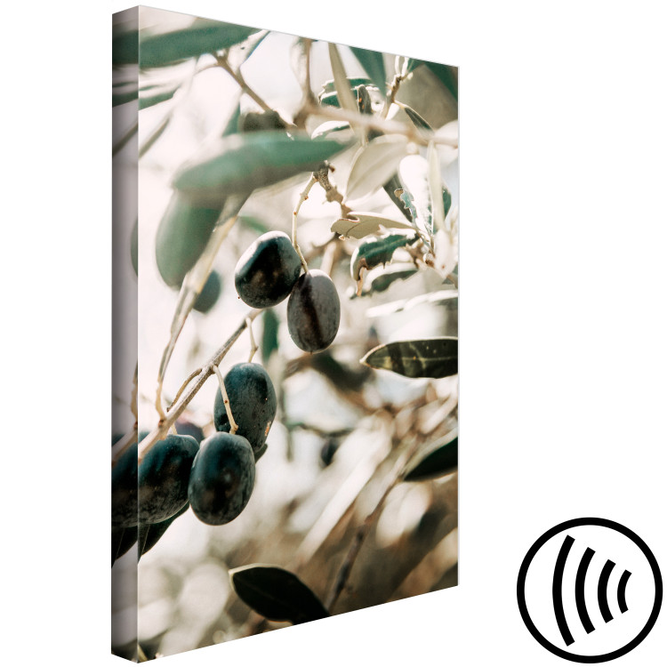 Canvas Olive Grove (1-piece) Vertical - nature of trees with black fruits 129696 additionalImage 6