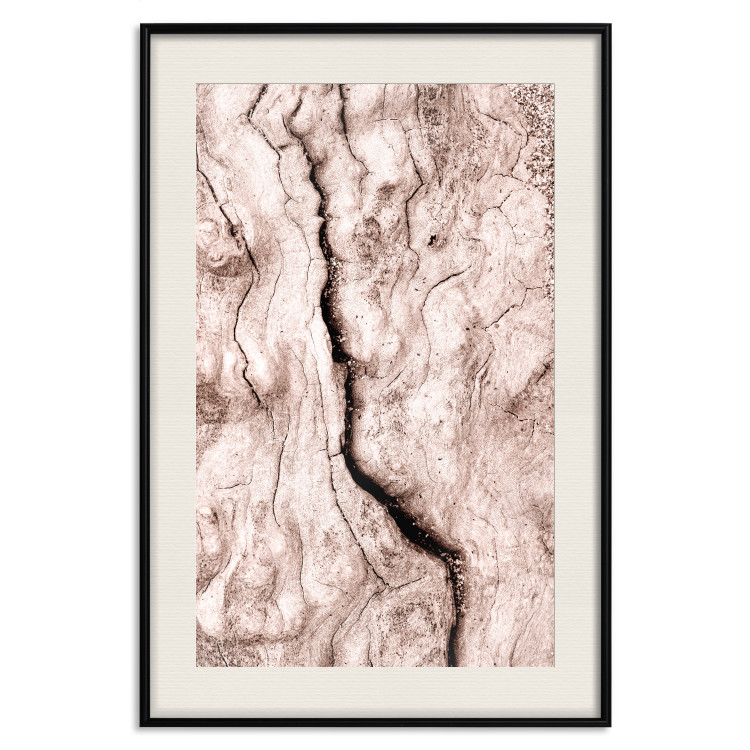 Wall Poster Touch of Tropical Wind - natural texture of cracked driftwood 135296 additionalImage 25