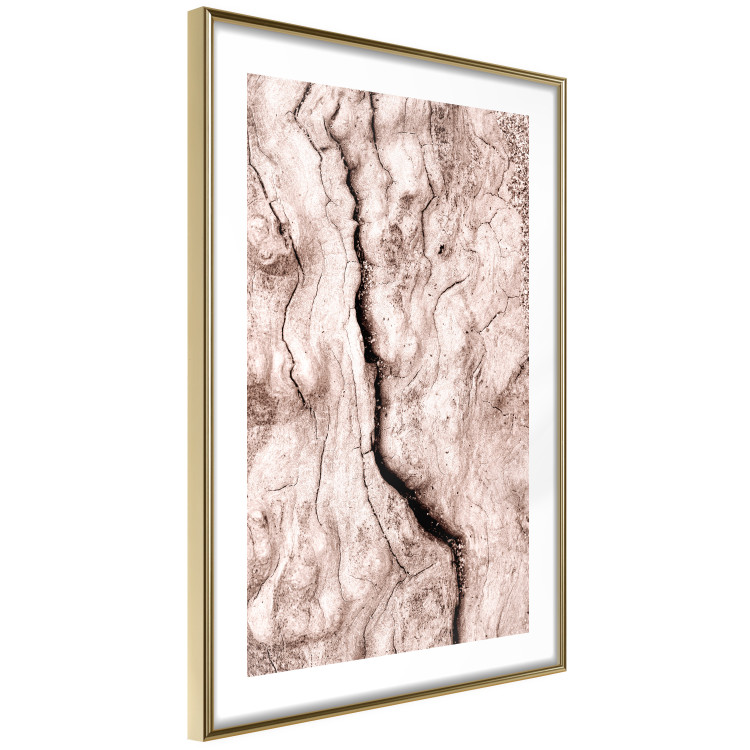 Wall Poster Touch of Tropical Wind - natural texture of cracked driftwood 135296 additionalImage 18