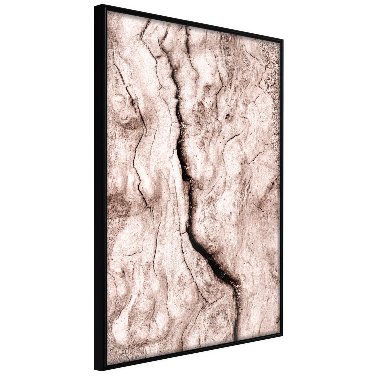 Wall Poster Touch of Tropical Wind - natural texture of cracked driftwood 135296 additionalImage 20